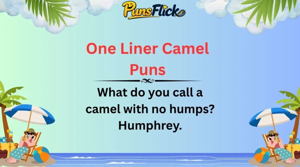 One Liner Camel Puns