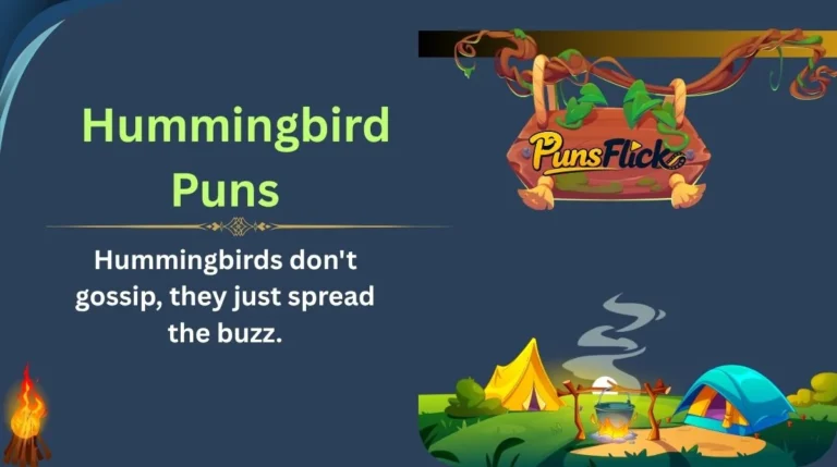 Hummingbird Puns